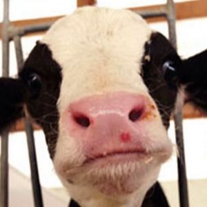 Meet your Posher, Keagan